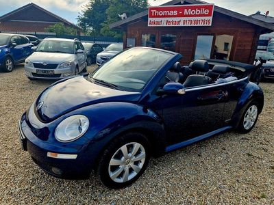 VW Beetle
