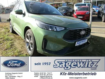 Gebraucht Ford Kuga ST-Line 186 PS (136 kW) 2025 Grün SUV