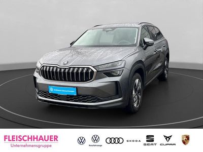 Gebraucht Skoda Kodiaq Selection 193 PS (141 kW) 2025 Grau SUV