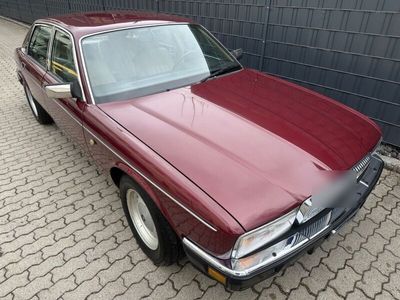 gebraucht Jaguar XJ40 Daimler SIX 3.678.000 KM 1 Hand