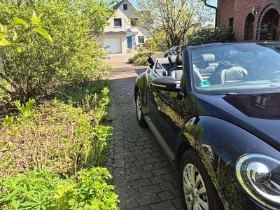 Usata VW Beetle Cabriolet