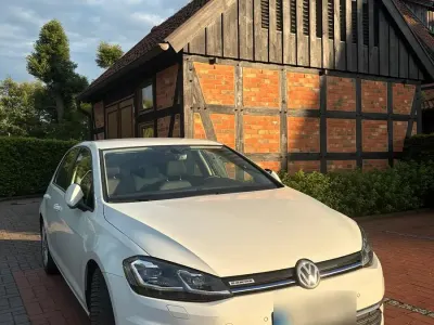 Gebraucht VW Golf VII 130 PS (95 kW) 2019 Weiß Kleinwagen