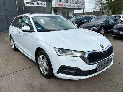 Gebraucht Skoda Octavia
