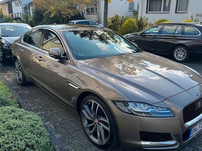 Gebraucht Jaguar XF Portfolio 300 PS (220 kW) 2016 Limousine