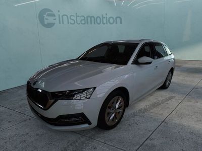 Gebraucht Skoda Octavia Style 150 PS (110 kW) 2023 Weiß Kombi