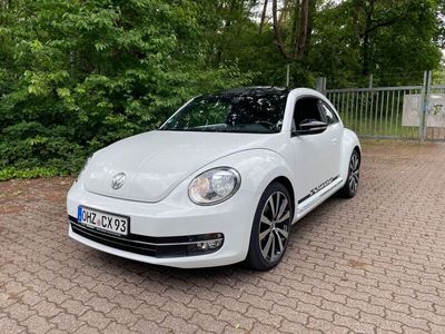 VW Beetle
