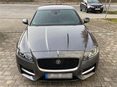 Gebraucht Jaguar XF R-Sport 179 PS (131 kW) 2017 Grau Limousine