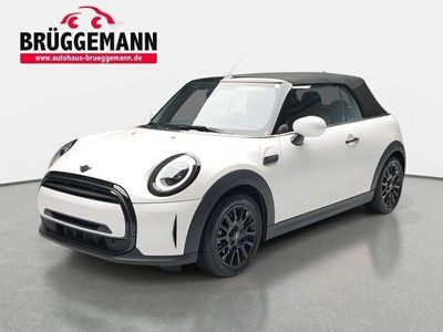 gebraucht Mini Cooper Cabriolet Cooper AUTO. CLASSIC TRIM NAVI LED KAMERA