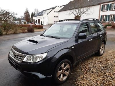 Gebraucht 2008 Subaru Forester Comfort SUV | 1.500 € (Guter Preis)