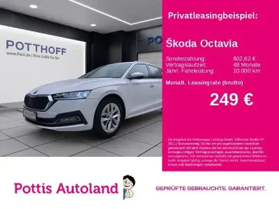 Gebraucht Skoda Octavia Style 116 PS (85 kW) 2023 Candyweiß Kombi