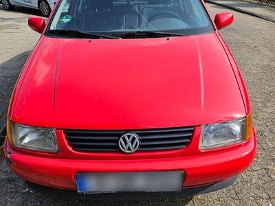 VW Polo