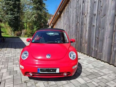 gebraucht VW Beetle NewNew1.6 Style