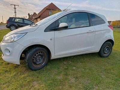 Begagnad Ford Ka Trend 69 HK (50 kW) 2014 Vit Halvkombi