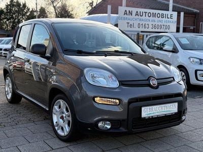 Grau Gebraucht 2022 Fiat Panda Limousine | 10.990 € (Guter Preis)