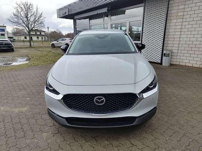 Neu Mazda CX-30 Homura-Line 140 PS (102 kW) 2026 Ceramic SUV