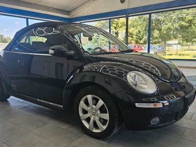 VW Beetle