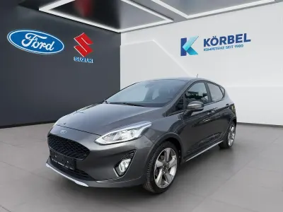 Gebraucht Ford Fiesta Active 101 PS (74 kW) 2019 Grau Kleinwagen