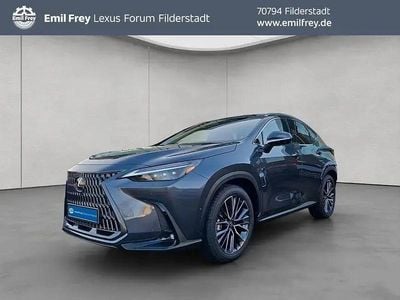 Grau Neu 2026 Lexus NX350h Luxury Line | 65.880 € (Etwas zu teuer)