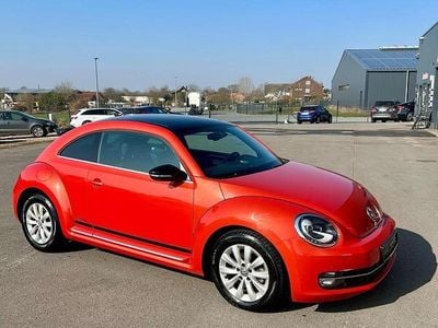 VW Beetle