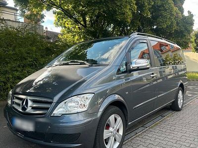 Mercedes Viano