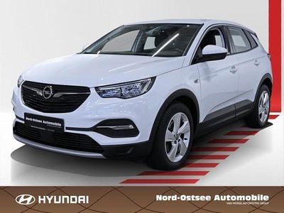 Weiß Gebraucht 2019 Opel Grandland X Innovation SUV | 16.490 € (Guter Preis)