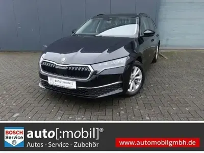 Käytetty Skoda Octavia