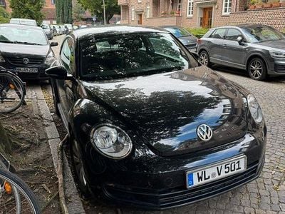 VW Beetle
