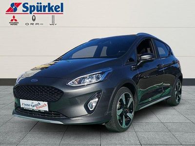 Usata Ford Fiesta Active 101 CV (74 kW) 2020 Grigio Utilitaria