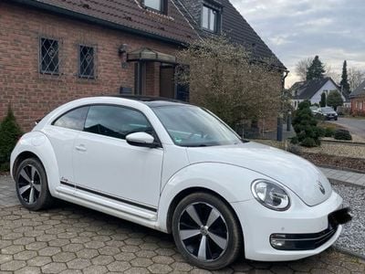 VW Beetle