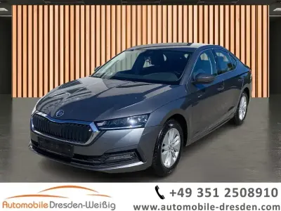 Gebraucht Skoda Octavia Ambition 110 PS (80 kW) 2023 Grau grau (metallic) Limousine