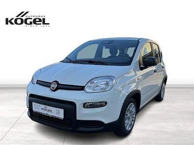 Weiß (gelato weiss) Gebraucht 2024 Fiat Panda Kleinwagen | 14.490 € (Fairer Preis)