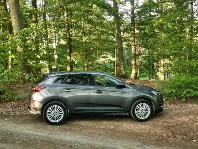 Gebraucht Opel Grandland X 131 PS (96 kW) 2018 Grau SUV