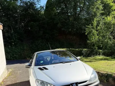 Gebraucht Peugeot 206 CC 109 PS (80 kW) 2003 Grau Cabrio
