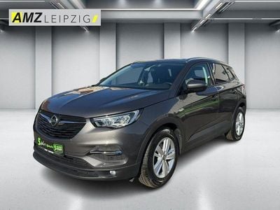 Gebraucht Opel Grandland X Edition 131 PS (96 kW) 2020 Mondstein grau/e:vulkan grau (metallic) SUV