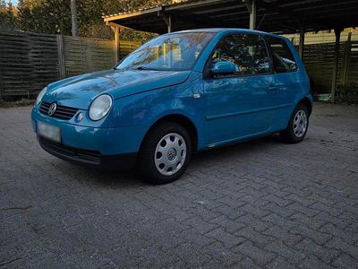Gebraucht VW Lupo 2003 Blau Kleinwagen