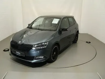 Gebraucht Skoda Fabia Monte Carlo 110 PS (80 kW) 2020 Grau Kleinwagen