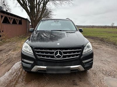 Gebraucht Mercedes ML350 258 PS (189 kW) 2011 Schwarz SUV