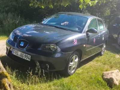 Gebraucht Seat Ibiza