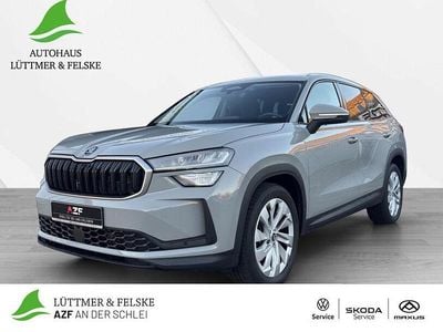 Grau Gebraucht 2025 Skoda Kodiaq Selection SUV | 39.480 € (Fairer Preis)