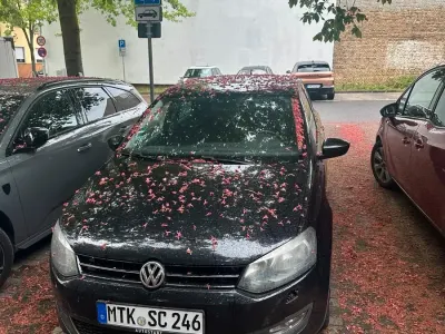 Second-hand VW Polo