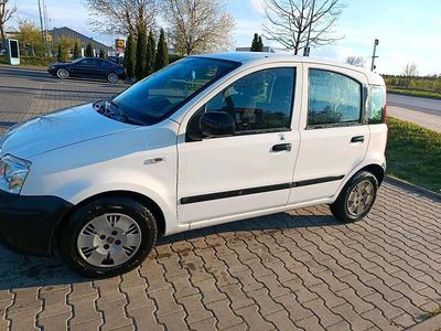 Brugt Fiat Panda Active 54 HK (39 kW) 2009 Hvid Hatchback