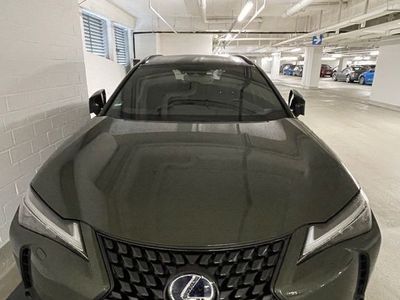 Lexus UX 250h