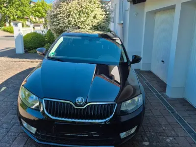 Usata Skoda Octavia