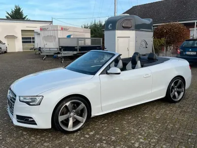 Gebraucht Audi S5 Cabriolet 333 PS (244 kW) 2012 Weiß Cabrio