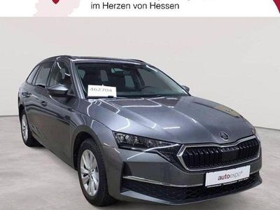 Grau Gebraucht 2024 Skoda Octavia Limousine | 25.990 €