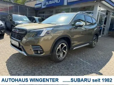 Gebraucht Subaru Forester