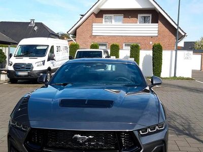 Usata Ford Mustang GT Performance Edition 446 CV (328 kW) 2024 Grigio Coupé