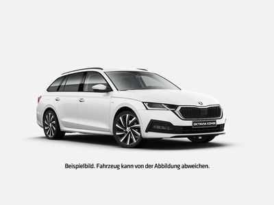 gebraucht Skoda Octavia Combi Style 2.0 TDI DSG AHK*NAVI*Matrix*ACC