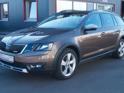 Gebraucht Skoda Octavia Scout 4x4 184 PS (135 kW) 2019 Braun Kombi