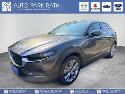 Gebraucht Mazda CX-30 Selection 150 PS (110 kW) 2021 Grau SUV
